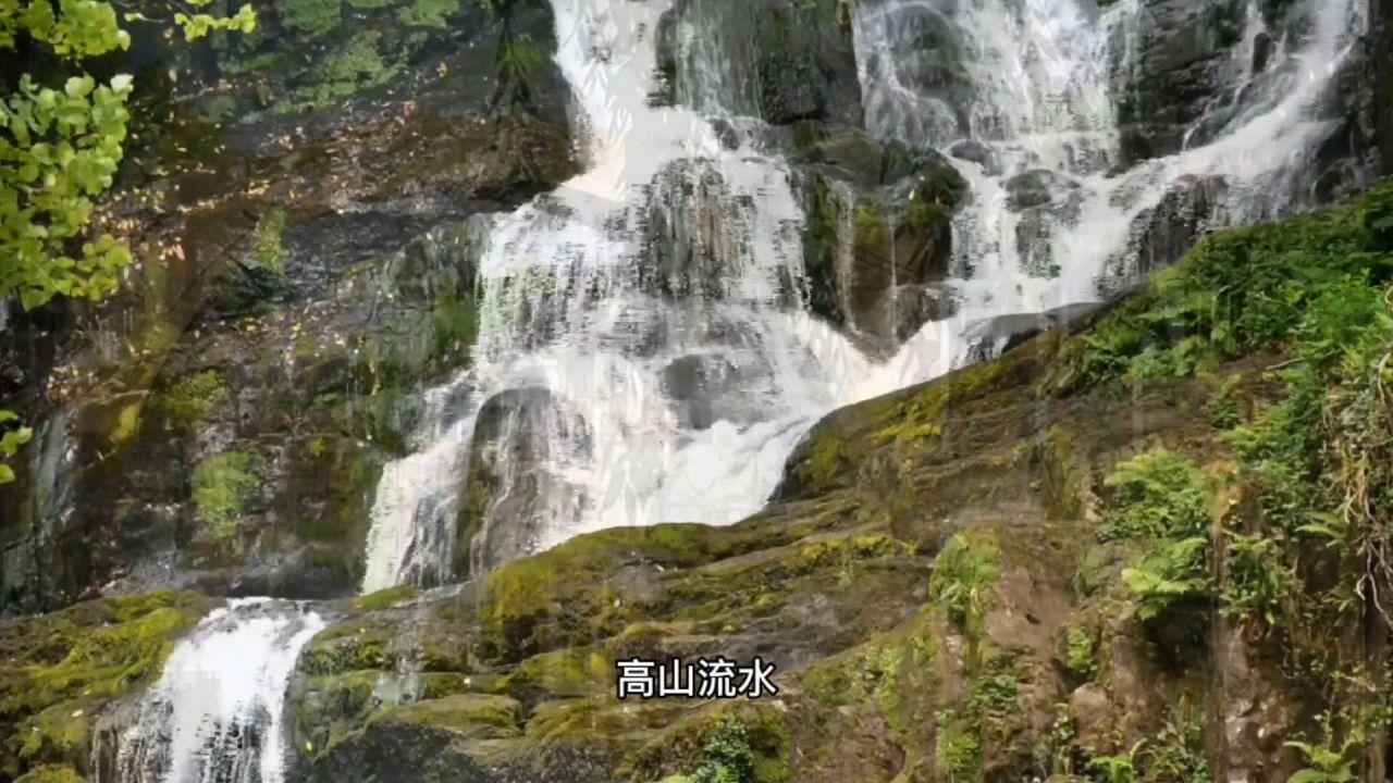 以军称已包围加沙南部城市汗尤尼斯